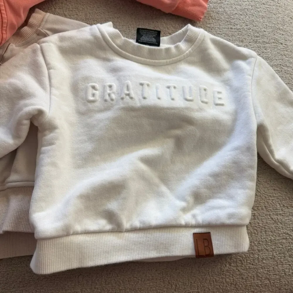 Little Bipsy Lot of 3 Baby Girl Sweatshirts Size 6-12 Months